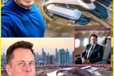 Elon Musk Destroys the Earth: Tesla’s First Aircraft Ever Goes On Flight