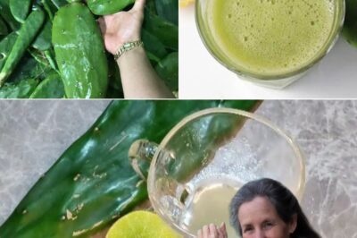 Lemon and Nopal Remedy: A Natural Boost for Your Body