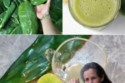 Lemon and Nopal Remedy: A Natural Boost for Your Body