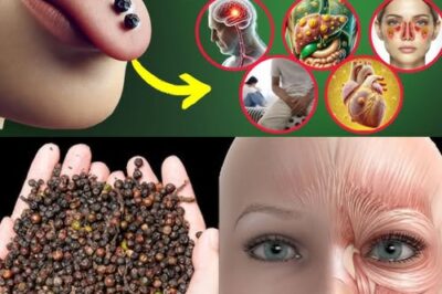 Better Than Aspirin? Discover the Natural Tea That Helps Prevent Blood Clots After 50 – Safe for Daily Use!