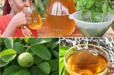 Unlock the Secret Power of Guava Leaves: Transform Your Hair, Skin, and Health Naturally