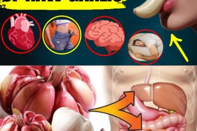 Eating Raw Garlic Before Bed: The Nighttime Health Habit You Didn’t Know You Needed