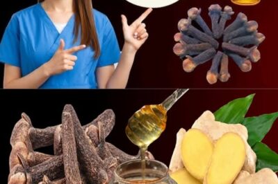 18 Benefits: Mix Ginger with Cloves and Honey, You’ll Thank Me for the Recipe!
