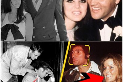 SHOCKING REVELATION: THE REAL REASON Elvis Presley Divorced Priscilla In Rare Recording