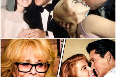 The Hidden Truth About Ann-Margret’s Affair with Elvis Presley