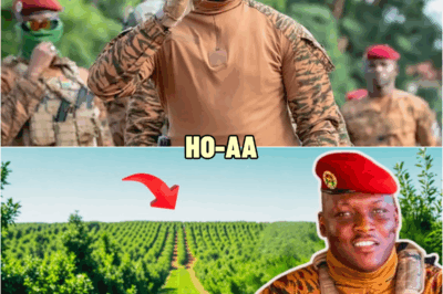 Traore’s Bold 20 Million Tree Move Shocks Africa – A New Era for Burkina Faso | HO!!!!
