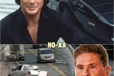 Knight Rider Was a Lie: What David Hasselhoff Finally Admitted After 40 Years | HO