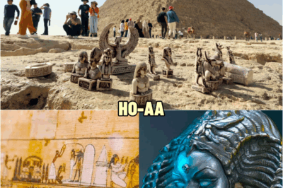 Scientists Scan 4000-Year-Old Book Found In Egypt, What It Reveals Scares Scientists | HO