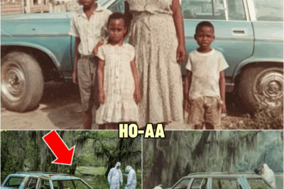 A Black Mother & 3 Kids Vanished in 1980 — 26 Years Later Their Car Was Pulled from a Swam | HO