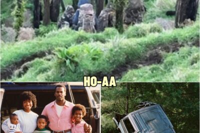 Black Family Vanished on Road Trip in 1982 — 20 Years Later This Is Found in the Forest… | HO