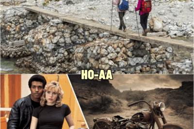 Young Couple Vanished In The Mountains In 1999, 20 Years Later Construction Crew Discovers This… | HO
