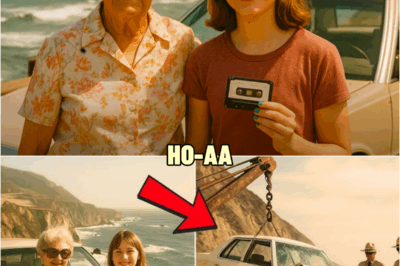Grandmother and Teen Vanished on Highway in 1987 — A Ranger Finds Their Car That Shouldn’t Exist | HO
