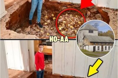 Farmer’s Last Request: ‘Don’t Touch The Floor’ – 50 Years Later, Grandson Discovers Why | HO