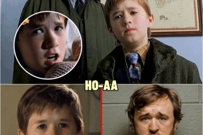 Remember The Kid from ‘The Sixth Sense’? His Life Now Is NOT What You Think | HO