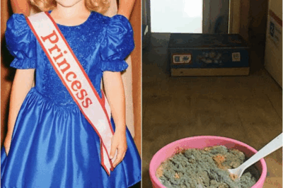 Child Beauty Star Vanished in 1994 — 3 Years Later Old Cereal Bowl in Attic Reveals the Truth… | HO