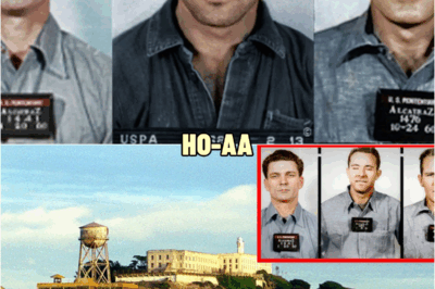 BREAKING: Scientists FINALLY JUST Solved The Alcatraz Escape Mystery In 2025 And It’s Shocking… | HO
