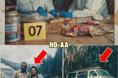 A Black Family Disappeared in 1985 — 10 years later, Their Van Was Found Inside a Cave | HO