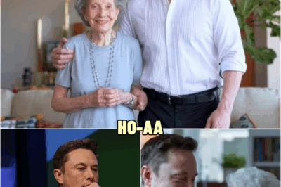 Elon Musk’s Nanny Turns Out to Be a Billionaire in Hiding—She Reveals About His Childhood Is Bizarre | HO