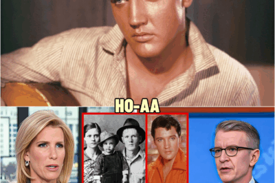 Scientists Finally Solved Elvis’ TRUE Identity In 2025.. And It’s More Shocking Than We Thought | HO