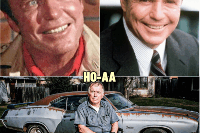 Remember Him? What Happened to Richard Jaeckel Will Leave You Speechless | HO