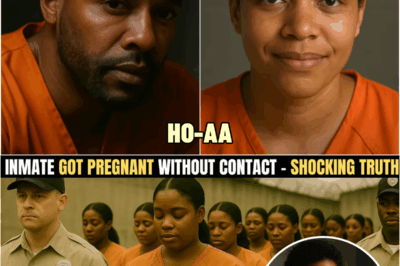 Female Inmate Got Pregnant Without Contact — Prison Camera Revealed the Shocking Truth | HO