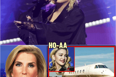 What FBI Found in Madonna’s Private Jet Stunned The World, And It’s Not What You Think | HO!!!!