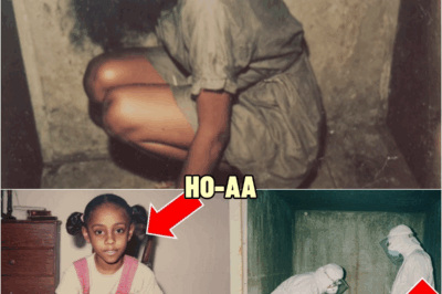 She Vanished While Playing Beside Her Mom — 5 Years Later She Was Found Alive Inside a Hidden Room | HO!!