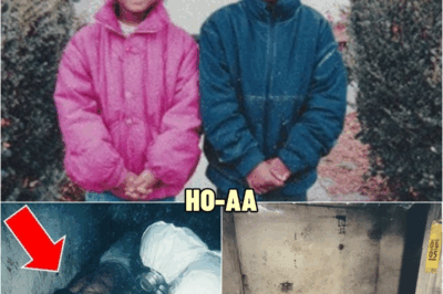 Twins Went Missing From a Parking Lot in 1993 — One Was Found Alive 30 Years Later Ch𝕒ined in a Cell | HO
