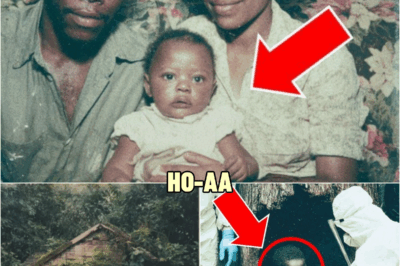 A Baby Vanished from Highway Rest Stop in 1988 — 10 Years Later a Feral Child Was Found in a Jungle | HO