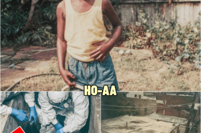 He Was 8 When He Vanished in 1983 — 16 Years Later They Found Him Barely Alive Inside a Concrete Box | HO!!!!