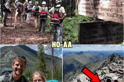 Family Vanished Hiking in Great Smoky Mountains — 6 Years Later Shoe with Foot Bones Found… | HO!!!!