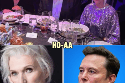 Elon Musk’s Mother Is Mocked for Her Accent at a Private Dinner — What He Does Next Ends the Partner | HO!!!!
