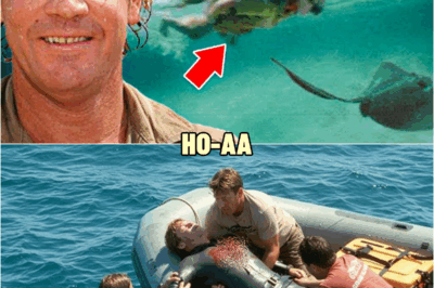 The TRAGIC Last Dive of Steve Irwin – Wildlife Conservationist and TV Host | HO!!
