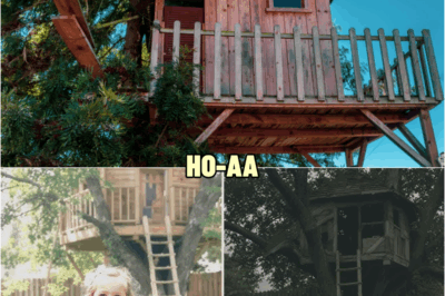Girl vanishes from her backyard, 10 years later her mom checks the old treehouse… | HO