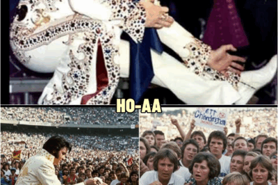 Elvis Presley helps a fan and gets escorted out by security — what happens next stuns the crowd | HO
