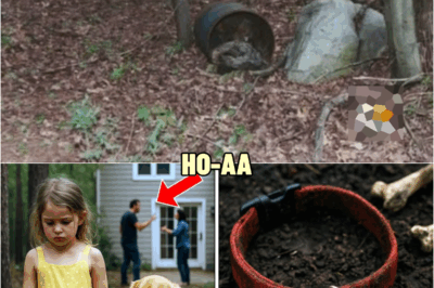 Little Girl Vanished In The Woods After Hearing About Parent’s Divorce, 5 Years Later Loggers Find.. | HO