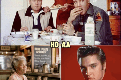 Elvis Presley visits the diner where he washed dishes — and who he finds there leaves him speechless | HO