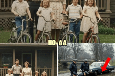 Granger Family Vanished in 1976 — Bicycles Found in 1990 Broke the Silence! | HO!!!!