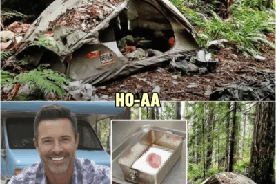 SHOCKING: Italian Tourist’s Tent Found in Kings Canyon — Inside Were Remains of His ᴛᴏɴɢᴜᴇ… | HO