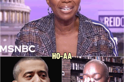 “They Wanted to Silence Me” — Joy Reid Breaks Down in Shock Interview After Being Abruptly Fired Live on Air | HO!~
