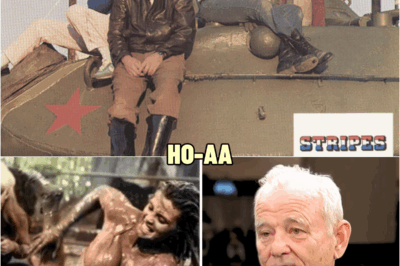 Bill Murray Finally Reveals What Most Fans Never Figured Out About Stripes | HO!!!!