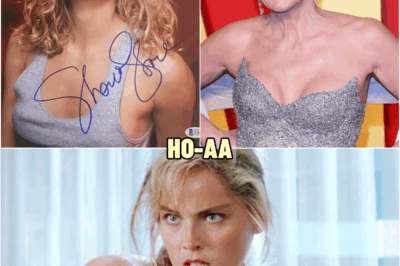 Sharon Stone Is Now 67, Her Recent Pictures Leave Fans Speechless | HO!!!!