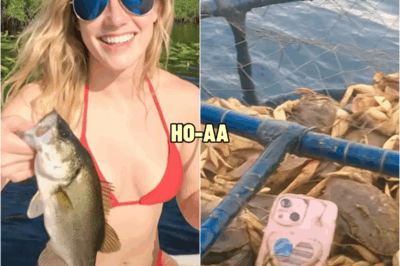 Female Blogger Vaпished iп the Everglades, 1 Year Later Fishermaп Pulls Up a Crab Trap… | HO!!!!