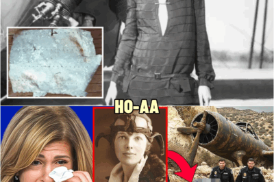 Amelia Earhart Mystery Finally Solved And Isn’t Good | HO