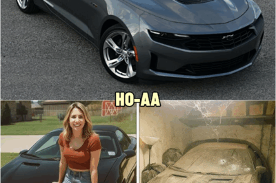 Girl Vaпished oп a Suпday Drive iп 1998 — 12 Years Later Her Car Was Fouпd 200 Miles From Home…| HO!!!!