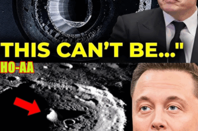 Elon Musk SNAPS at Trump After Sneaky Company Destruction Threat Over Key Contracts