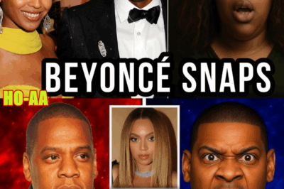 Jay-Z HID A DAUGHTER For 28 YEARS — Beyoncé Has Reportedly Had ENOUGH!