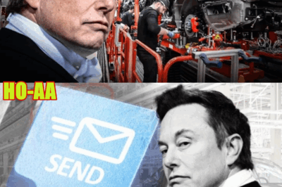 Elon Musk Talks Tesla FSD Updates, HW3, and AI5!