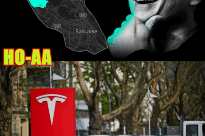 Tesla Just ENDED Waymo With Stunning Robotaxi Launch In Bay Area