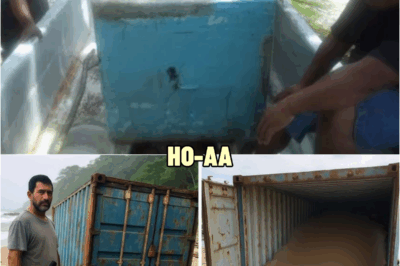Poor Fisherman Found Container on Remote Island, Opened it and Burst Into Tears! | HO